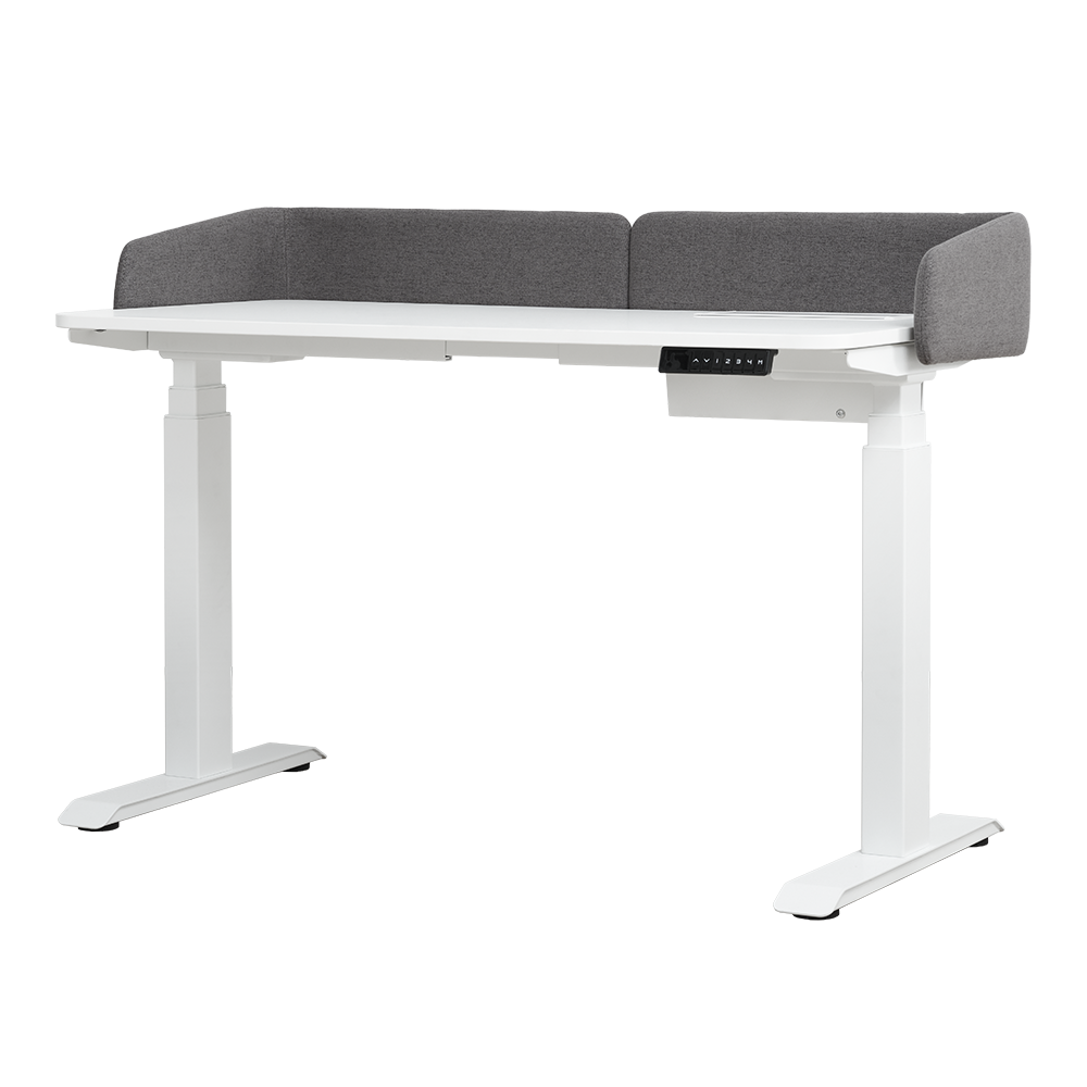 Equipment Professional Super Stain Resistant Table Home Office Electric Dual Motor Standing Height Adjustable Desk