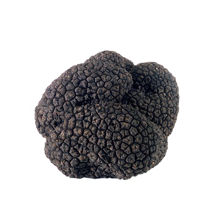 Superior Best Quality Fresh Wild Black Truffle With Cheap Price Whole Part Truffle From Yunnan