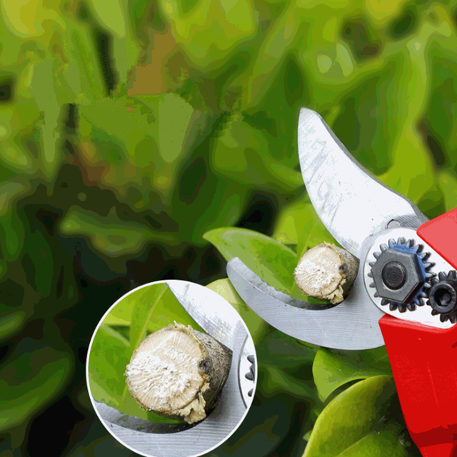 2021 Best Quality Power Pruners Plant Trimmer 21V Battery Garden Cordless Electric