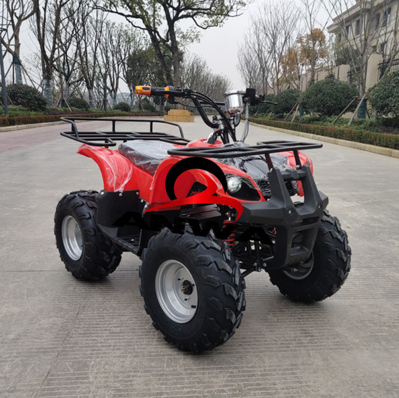 2019 мощный Электрический квадроцикл для взрослых 60 в 2200 Вт