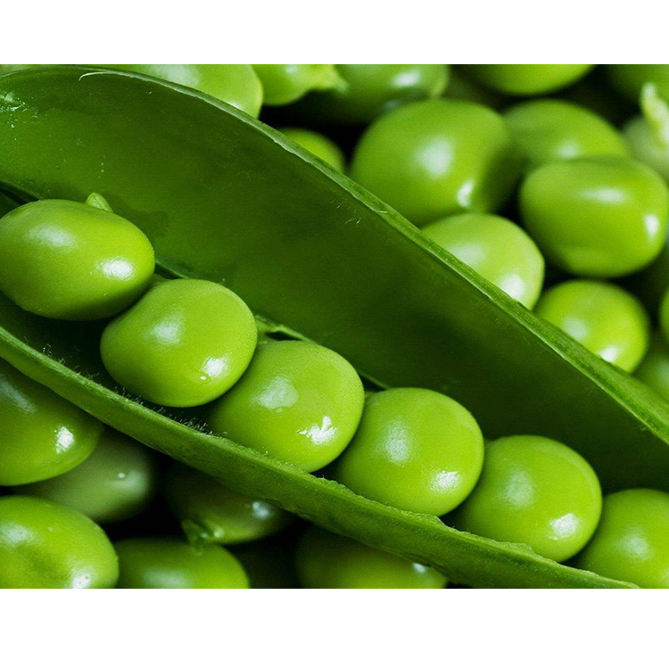 Wholesale Green Peas Fresh Frozen Green Peas