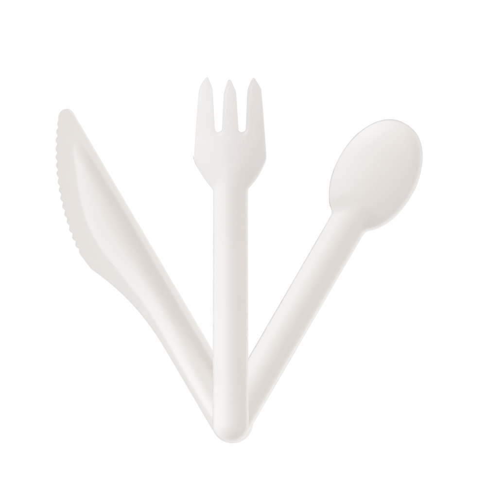 Biodegradable Bagasse Disposable Paper Cutlery Set