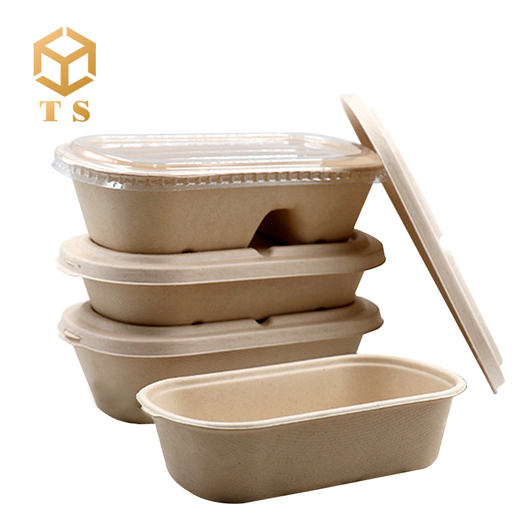Bento, одноразовая экологически чистая упаковка для пищевых продуктов, оптовая продажа, коробка для сахарного тростника