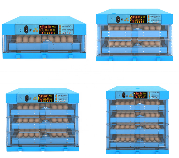 incubadora de huevo incubators hatching eggs hatcheries eggs for sale in jordan