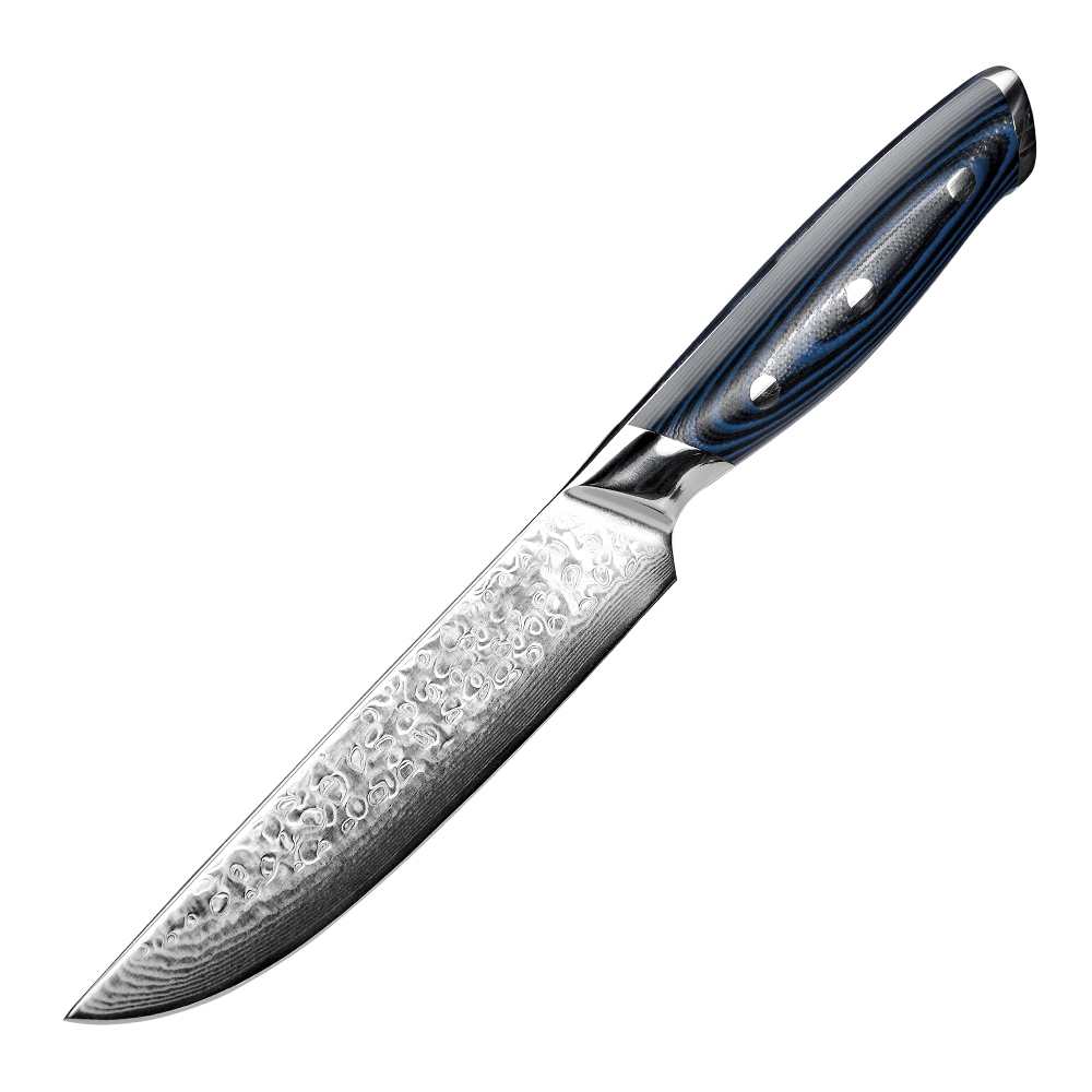 Damascus Japanese VG 10 67 Layers Blade Best Amazon Choice Stainless Steel Kitchen Chef Slicing Meat Cleaver Fruit Steak knife