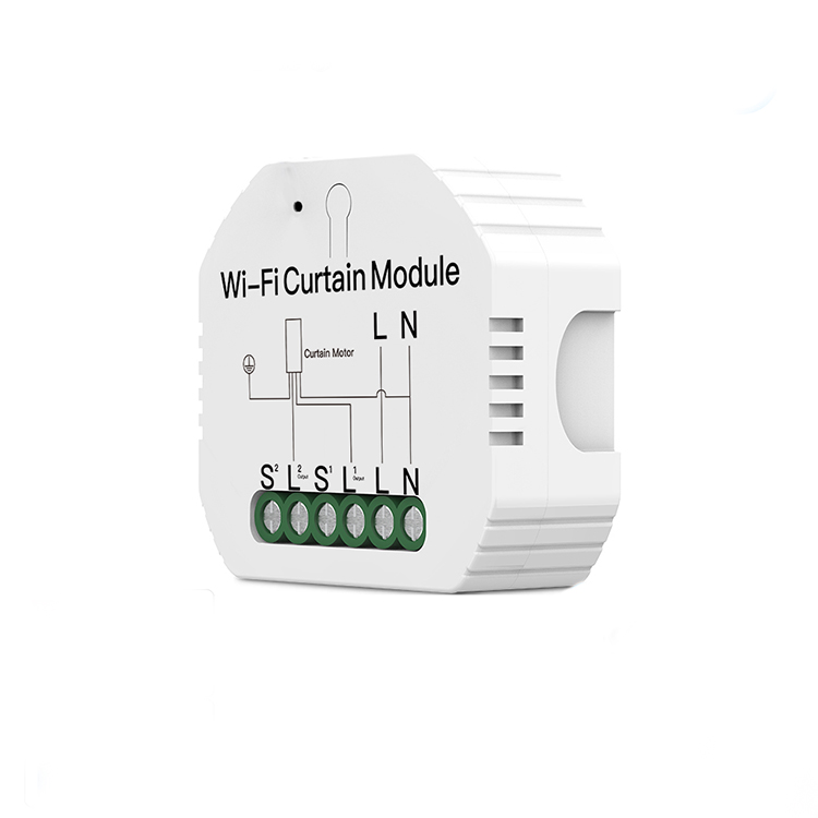 Alexa ESP8266 Smart 2 gangs Tuya Zigbee 3.0 wireless wall switch module home automation