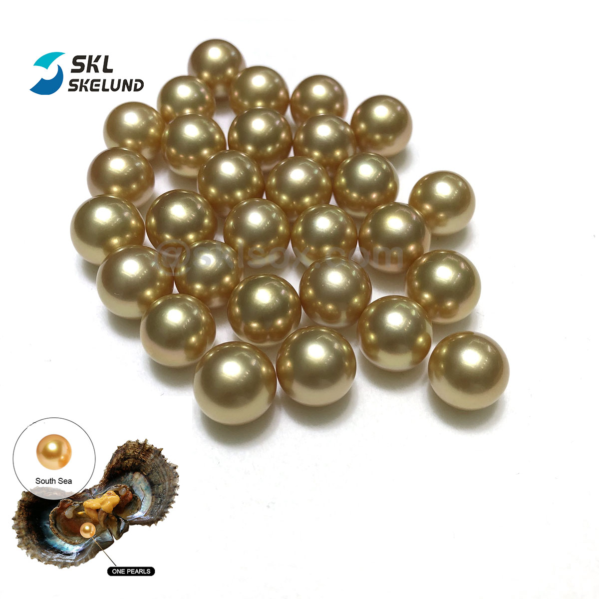 South Seas Golden Pearls Genuine Single Golden South Sea Undrilled Round 12-14MM Loose Sharon Perl South Sea Pearl For Jewelry