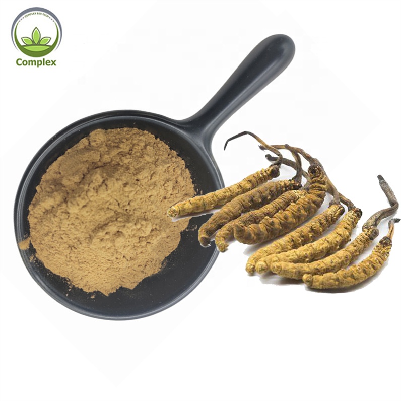 Natural Free Sample Cordyceps Militaris Mushroom Extract Powder Cordyceps Militaris Extract With Polysaccharide
