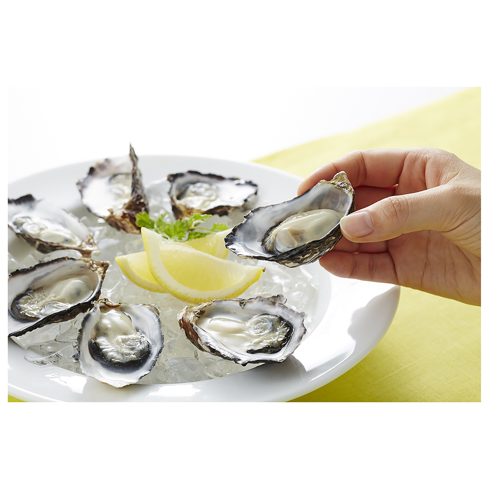 Small Size Oyster Wholesale Frozen Fresh Seafood In A Clean Ocean Area