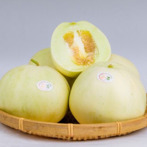 Pear-shaped (pyrifrom) Melon High Quality Fresh Honeydew Round Premium Grade ISO Certification Made In Viet Nam