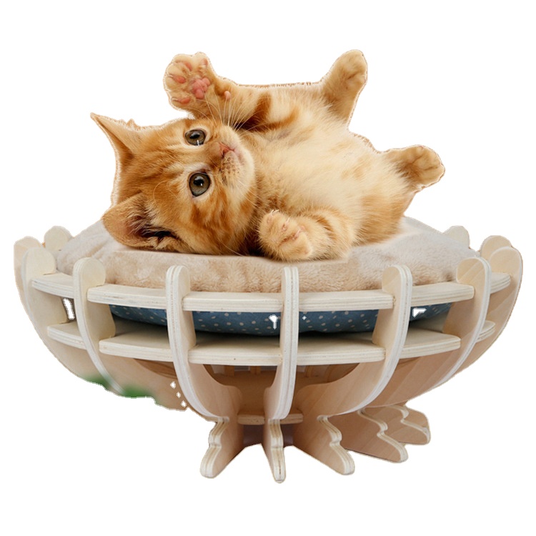 Pet supplies2021 New 2021 Nanjing Hanshi produced solid wood cat nest hanging basket cat swing High-end cat bed