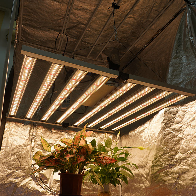 Meijiu ETL F8 650W grow litghs, Meiju Lm301H Lm301B 3000K 3500K Switchable Chip Cob Led Full IR Octopus Led Grow Light/