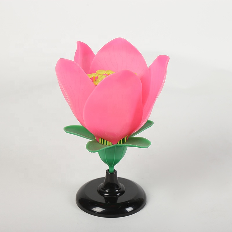 Хит продаж, Botany модели персикового цвета, модель для студентов, обучающая Цветочная модель