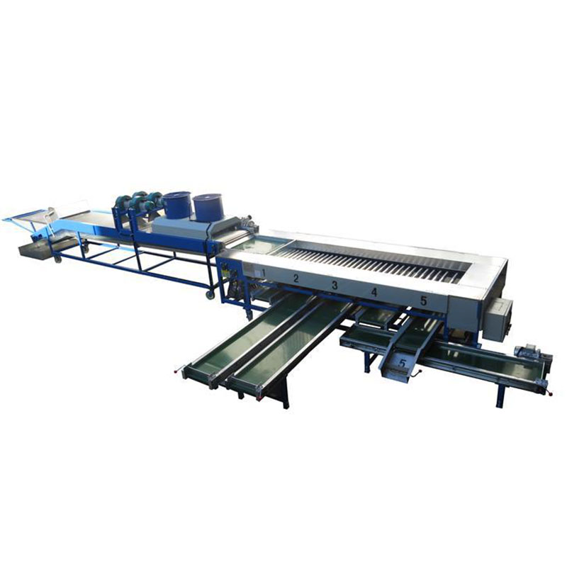 stainless steel round fruit Washer Dryer Sorter Machine drum type tomato sorting machine orange grading machine