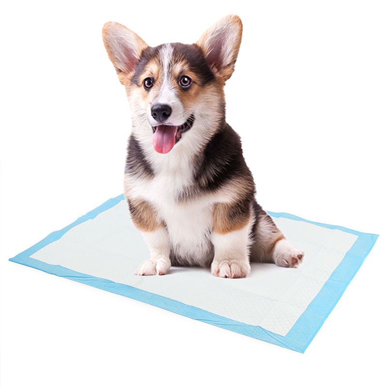 Free Sample Wholesale Low MOQ High Absorbency Eco-friendly Disposable Pee Training Cat Dog Pet Diaper Pads
