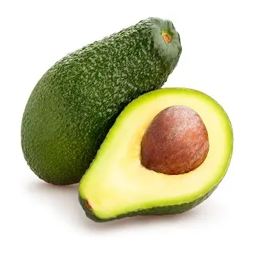 High quality 100% natural fresh green skin avocado for wholesale