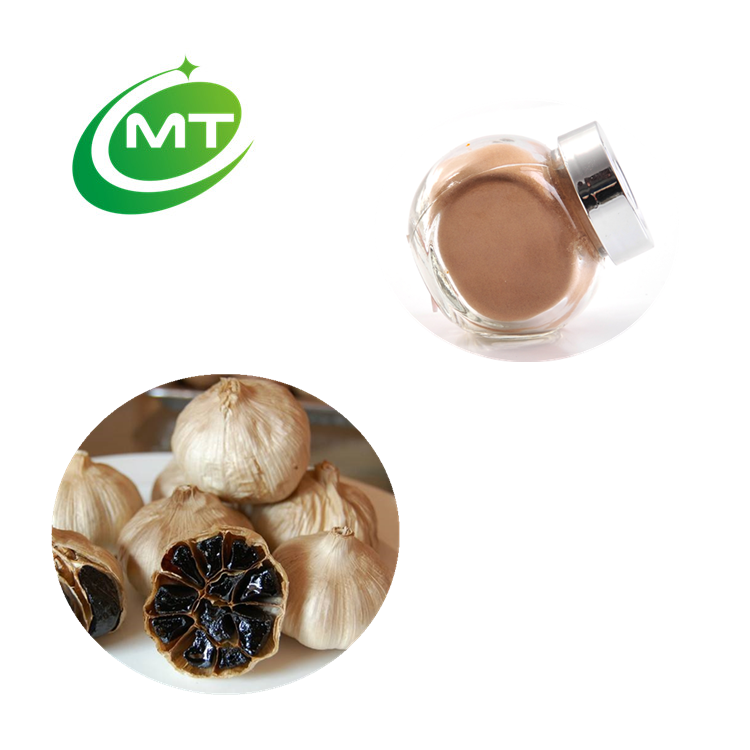 High Pure Organic Black Garlic Extract