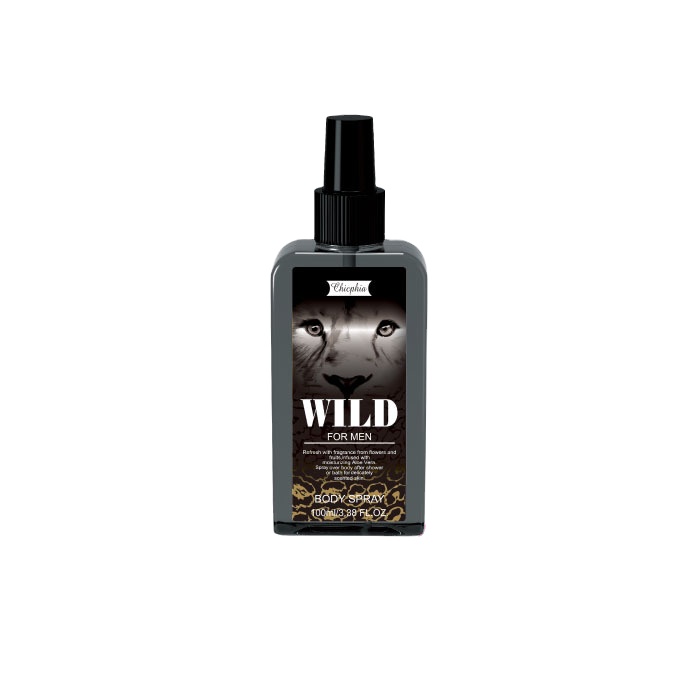 100ml New Arrival Men Body Mist for Men
