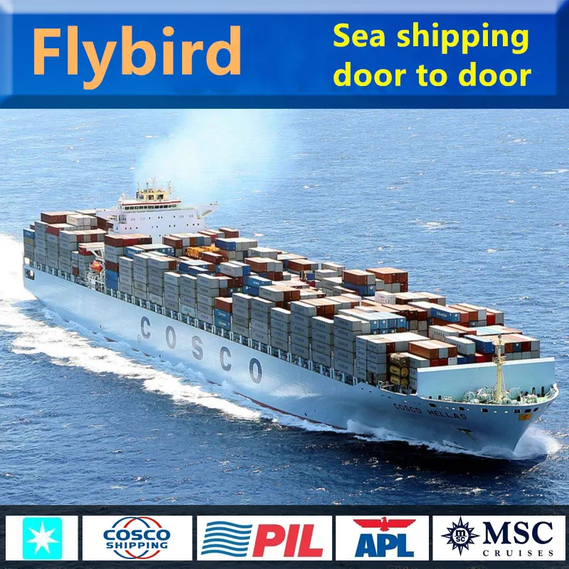 Flybird Logistics Shenzhen Freight Forwarder Custom Clearance Agent to UK USA EU Canada Mexico Worldwide