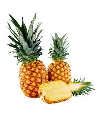 FRESH PINEAPPLE HIGH QUALITY FROM VIETNAM / EXPORT / 100% NATURAL AND GOOD PRICE IN 2024