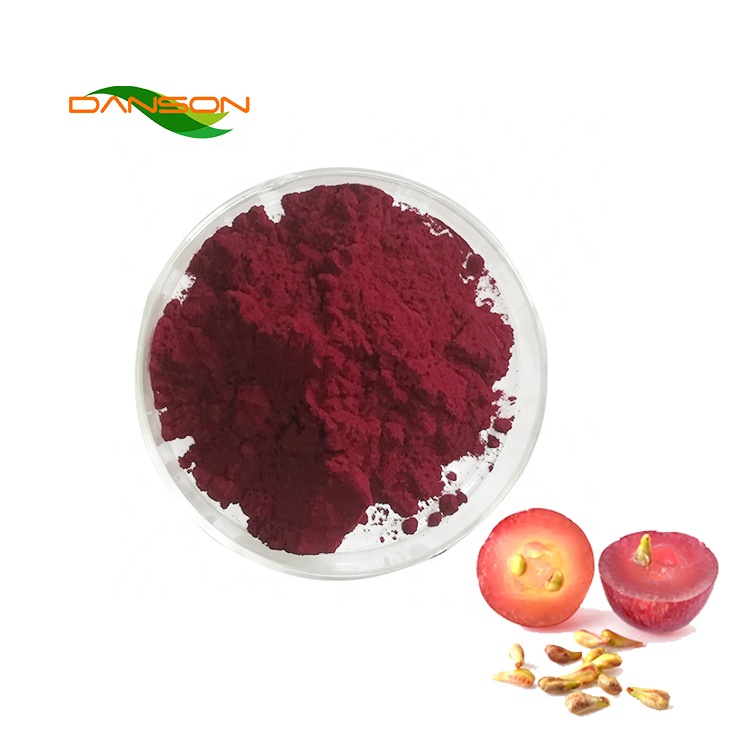 Big Discount Proanthocyanidine Grape Seed Extract 95% Proanthocyanidine