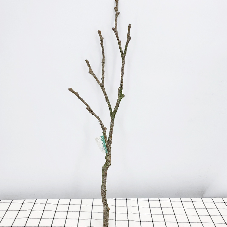 Factory Direct Sale 74cm long stem Decorative Tree Branches artificial plant faux tree trunk for decor