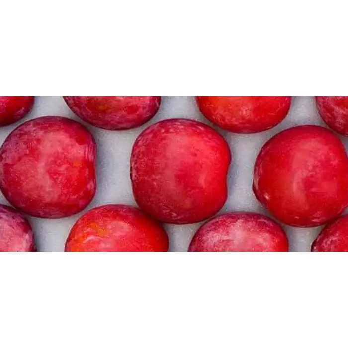 Hot Selling High Quality Sweet Laetitia Black Red Plums For Wholesale