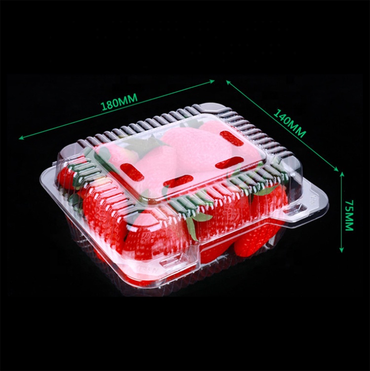 500g plastic transparent fruit salad food blister container packaging