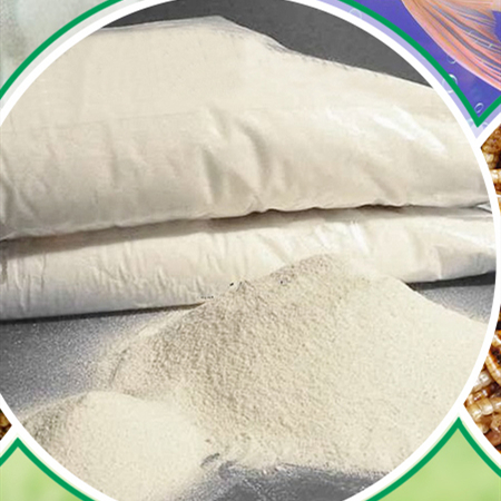 Оптовая продажа порошок белка насекомого mealworm