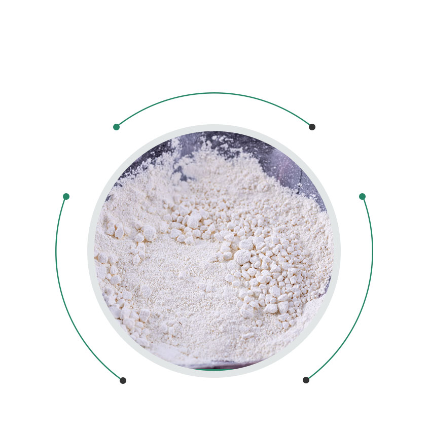 Natural Food Preservative Powder Natamycin In Lactose For Milk Cheese food grade Natamycin