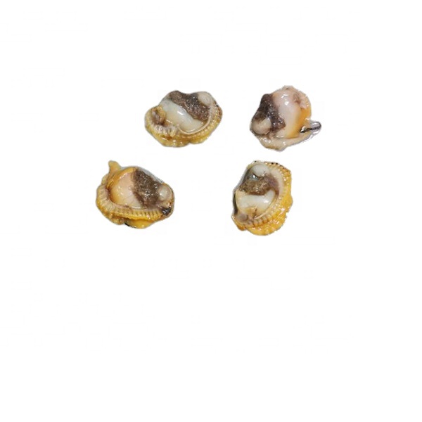 2021 New Season Frozen Blood Clam Meat
