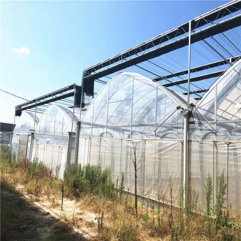 Cheap and Easy to Build and Install PE Film Agriculture Multi-span Greenhouse