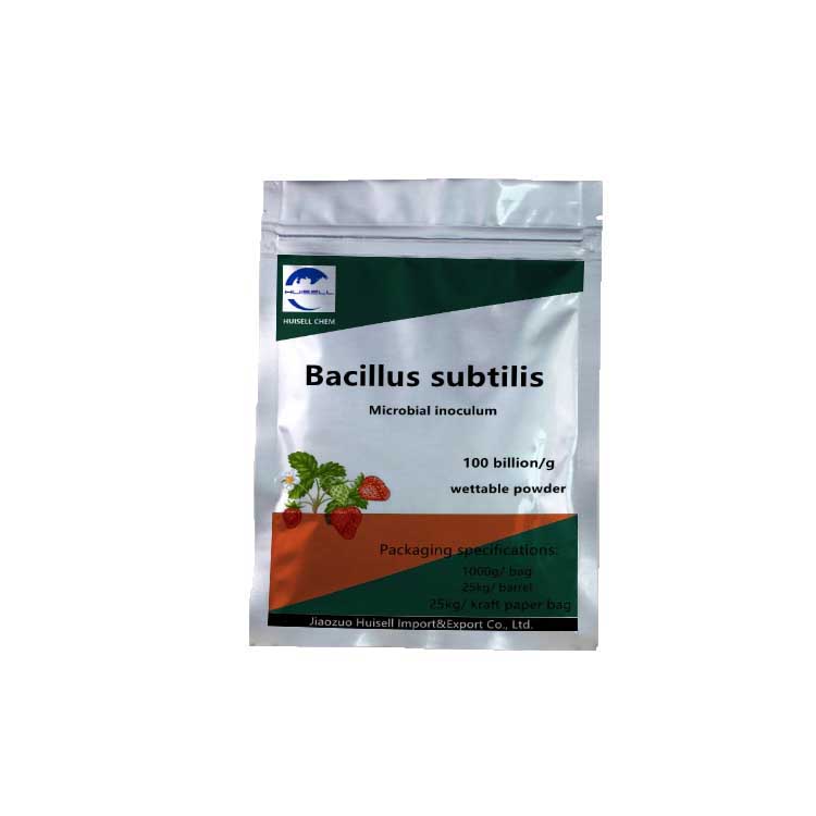 Factory price Bacillus Subtilis
