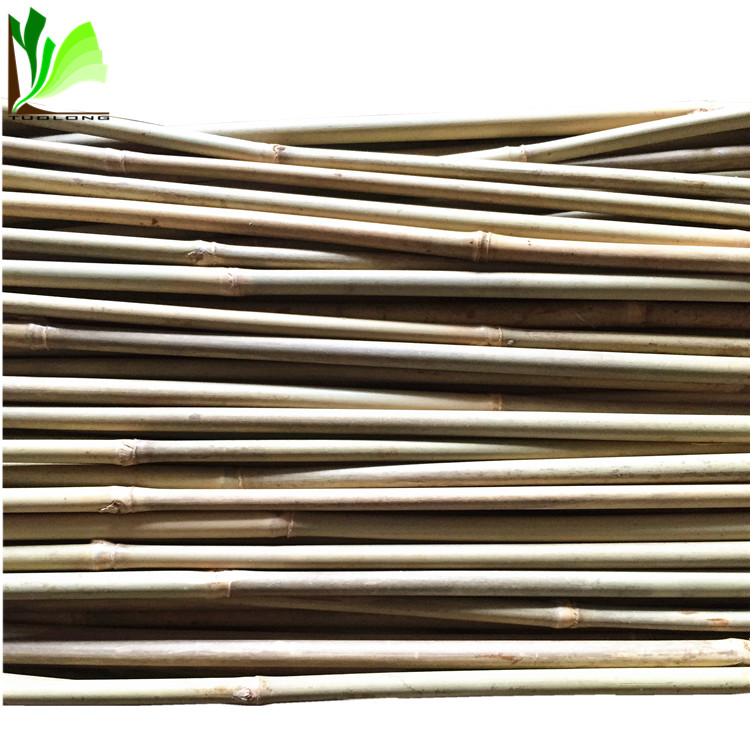 Cheap Plant Support Stick Bamboo Poles