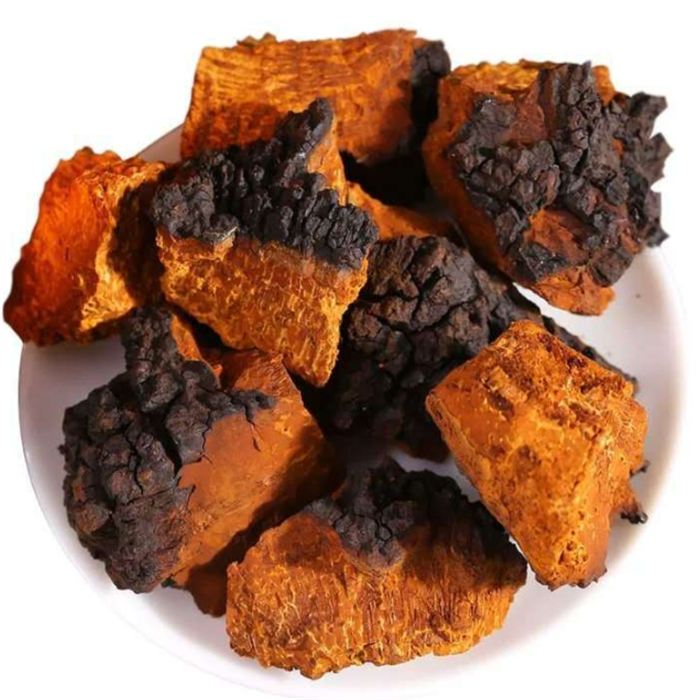 bai hua rong chinese herb organic whole dried chaga birch mushroom for herbal tea