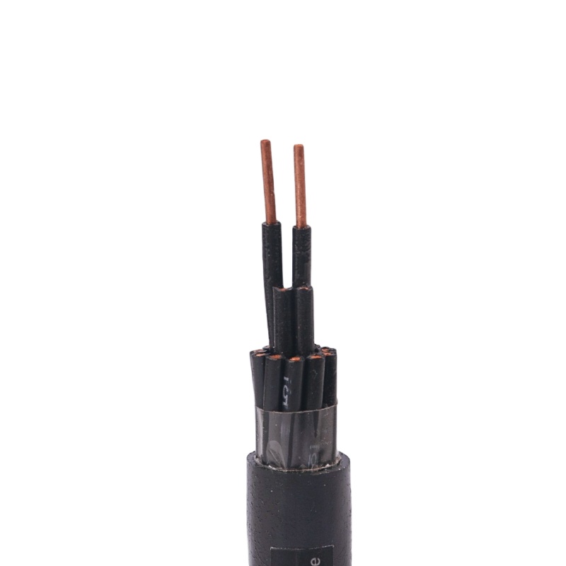 Multi-core 0.6/1kV Copper conductor XLPE insulated PVC sheathed N2XY Control Cable