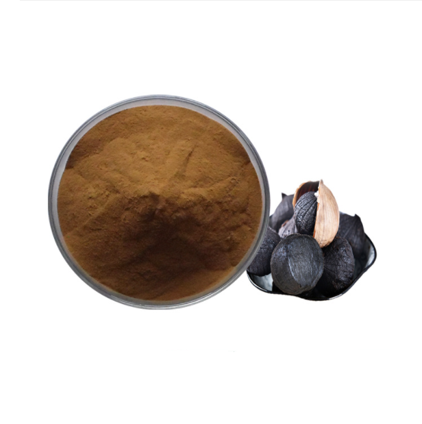 GMP Certificate Black garlic extract powder