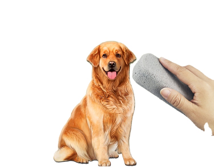 Amazon Hot Eco-Friendly Dog Cat Hair Remover Grooming Tool Pet Hair Removal Stone