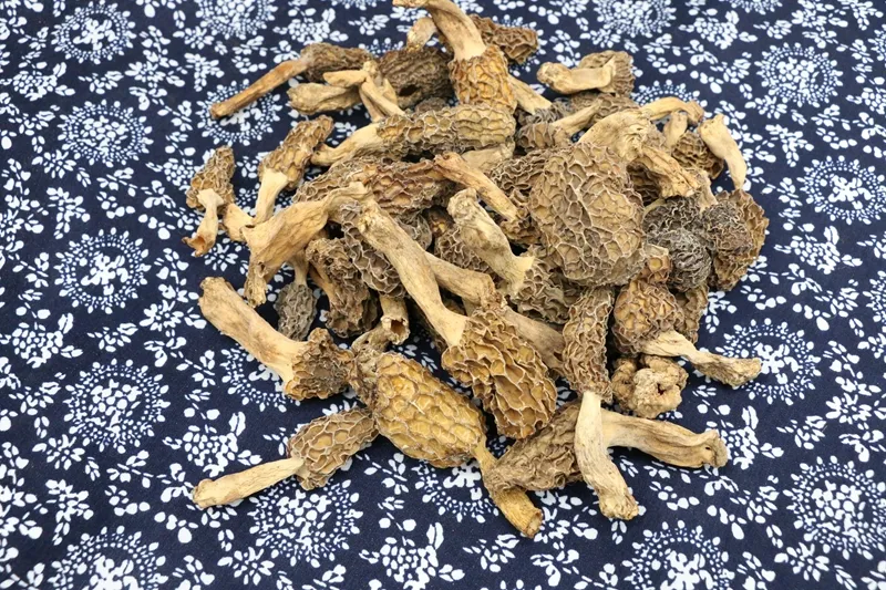 Low Price Guaranteed Quality Black Morels Dried White Morel Mushroom Dry