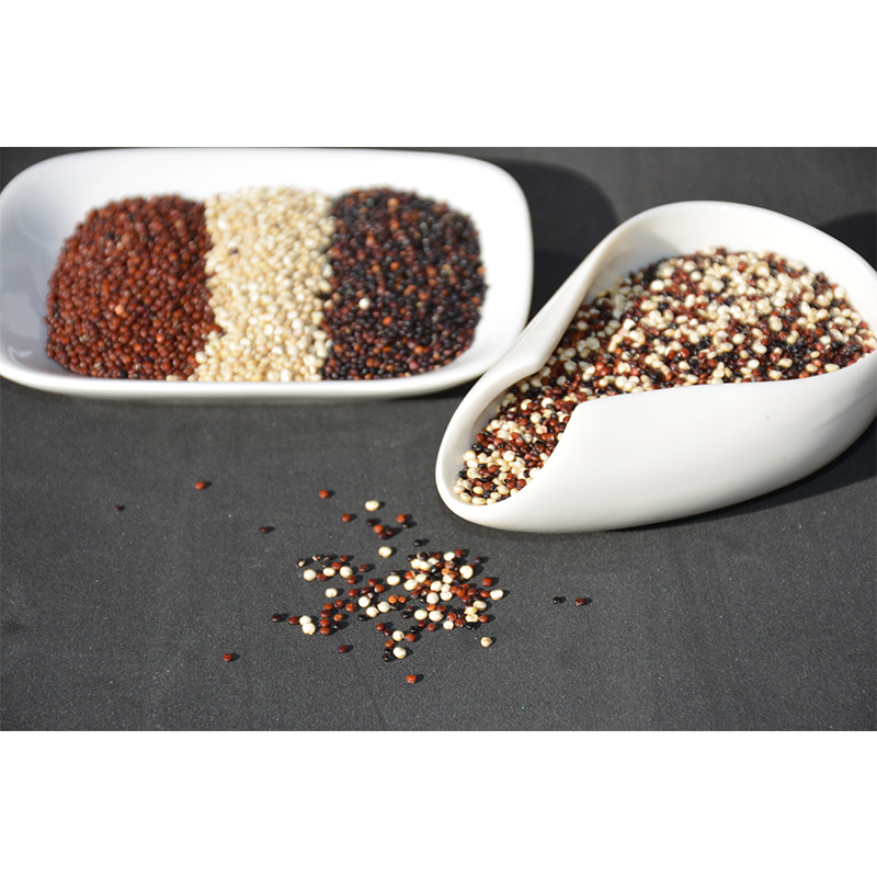 Трехцветное питание и здоровье Quinoa для всей семьи с низким содержанием сахара