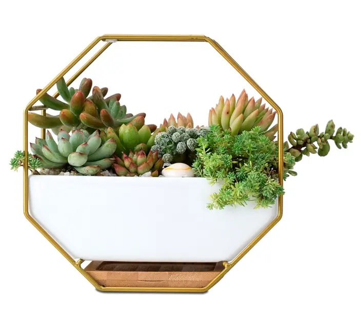 Керамический Настенный шестиугольный цветочный горшок, горшки для растений, керамические металлические подвесные корзины, керамические горшки для растений для стен
