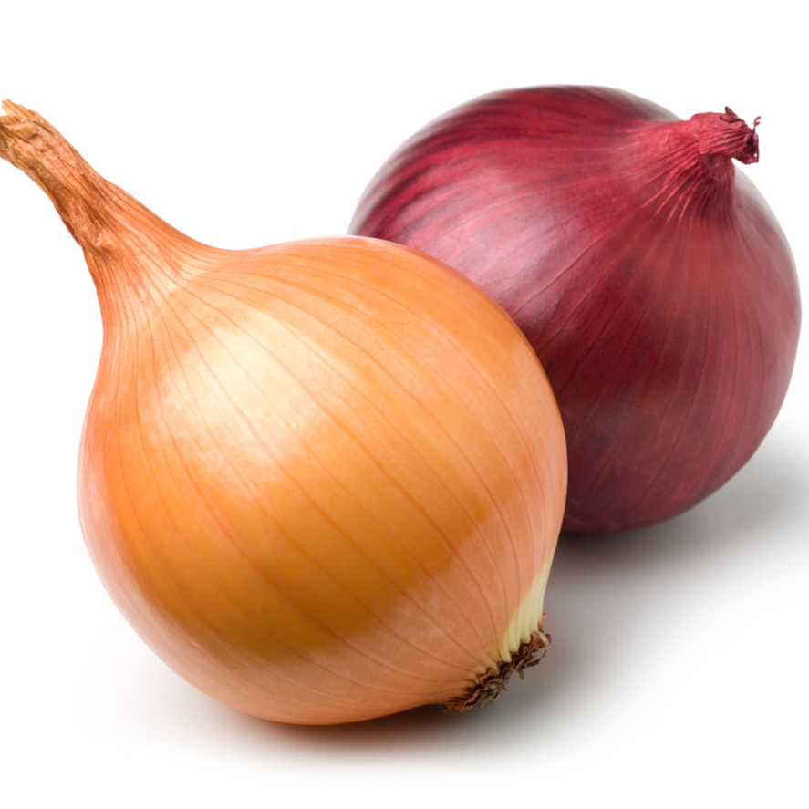 Food Wholesale Exporter Chopper Red Onion Vegetable Natural Style Origin Type Product Fresh Onions