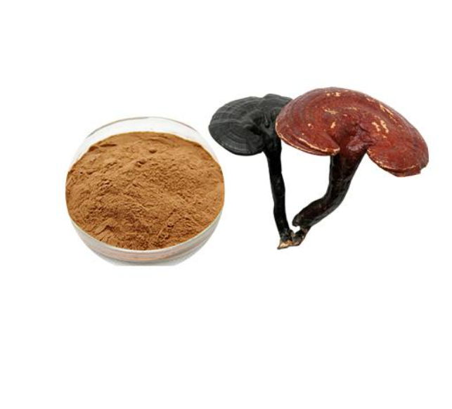 100% чистый органический полисахарид Ganoderma Lucidum Reishi, экстракт грибов, порошок грибов