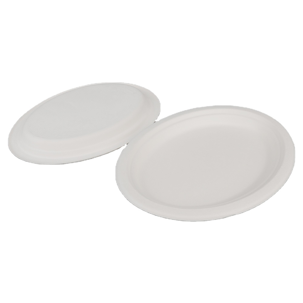 Biodegradable Disposable Sugarcane Bagasse oval Plate