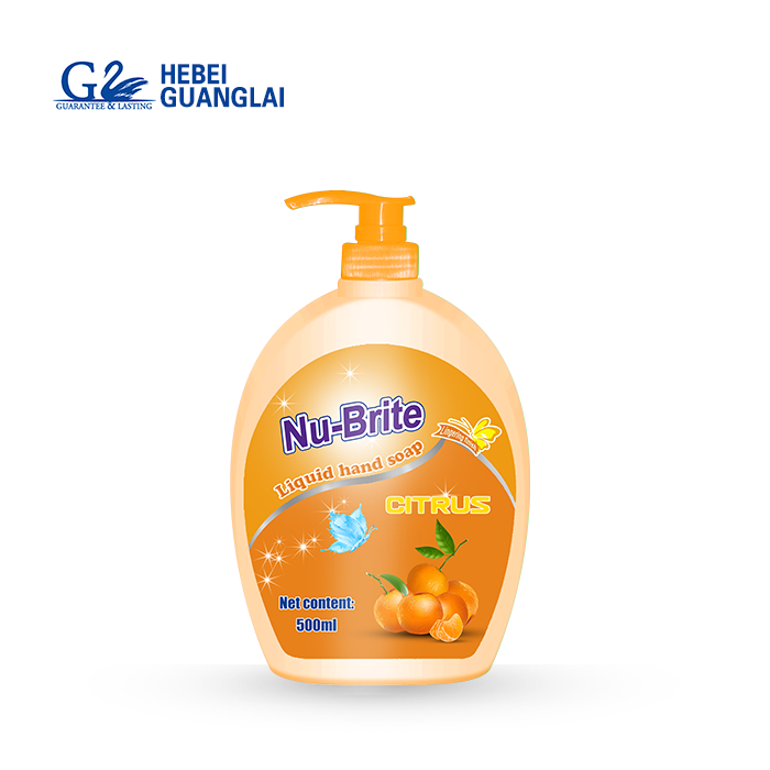 Bacteriostatic Disinfection Fragrance Moisturizing Hand Soap Liquid