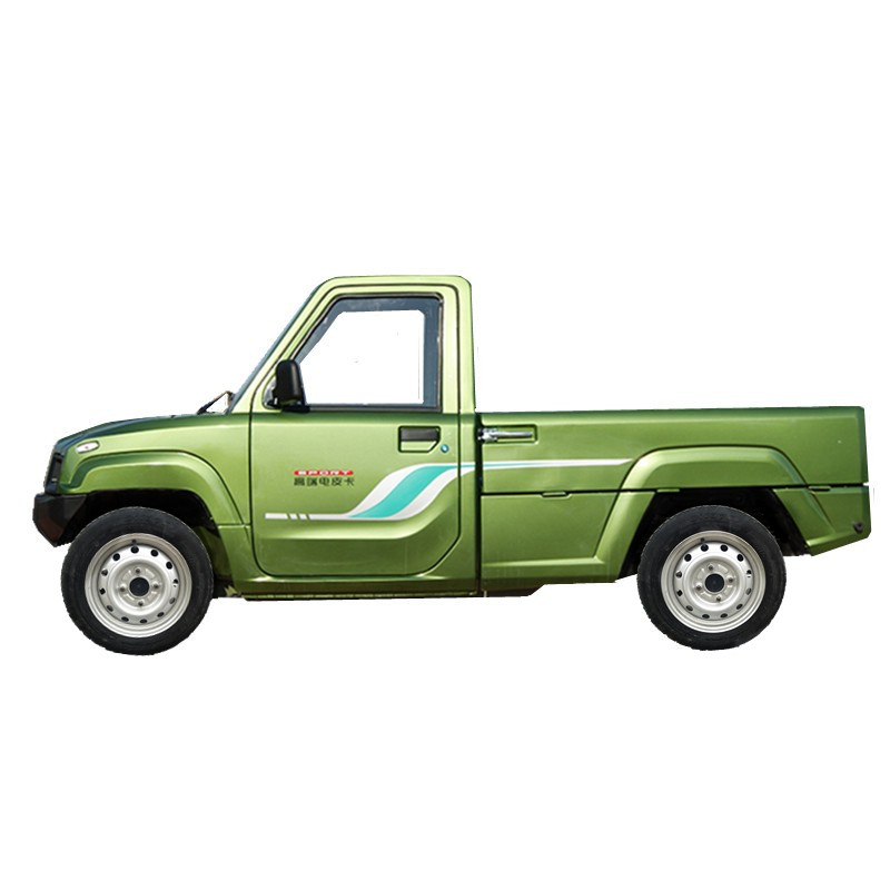 Qingdao Raysince four-wheel electric pick up truck with good quality