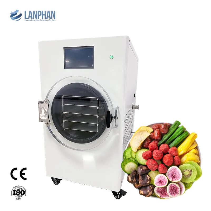 Small Machine High Quality Home Dryer Mini Food Vacuum Freeze Drying Lyophilizer Machine With Vacuum Pump Machine Equipment