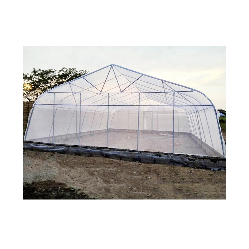 Industrial Green house Pipe Plastic Film Galvanized Agriculture Transparent Greenhouse Tunnel Garden Greenhouses