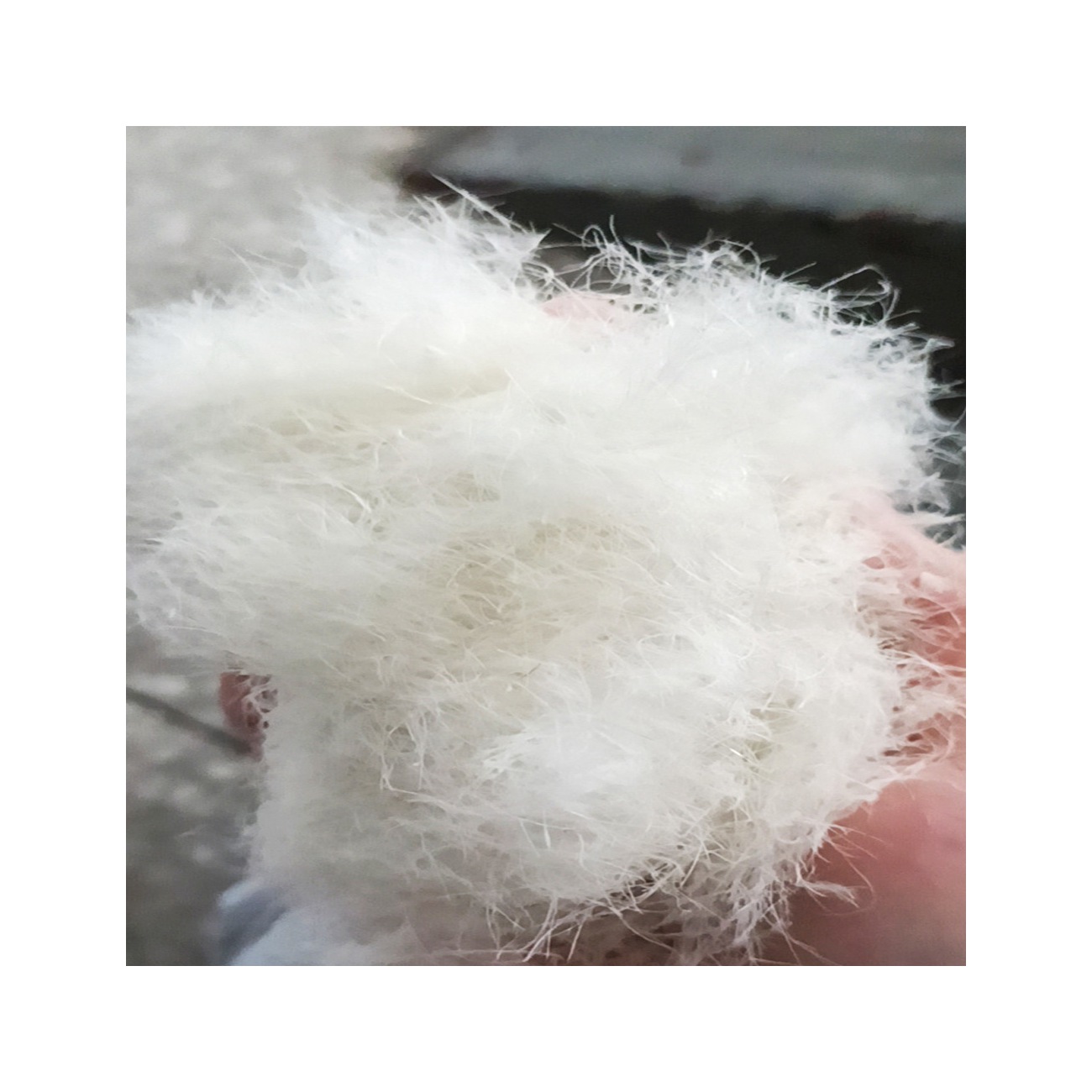 Hot Sale Cheap Washed down duck feather buy Natural duck down fill duck down feather