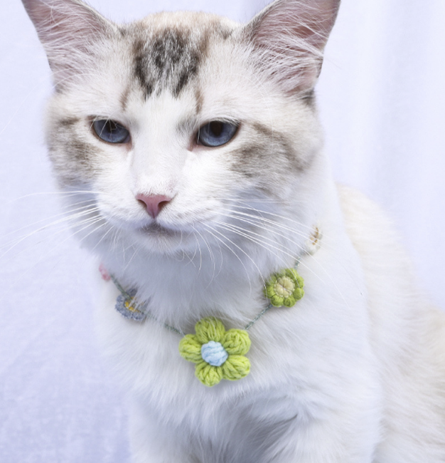 Amazon hot sale cat lovely flower necklace collar